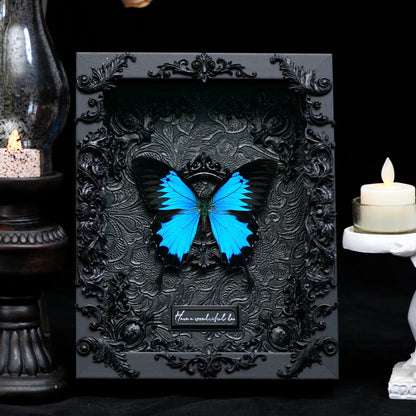 Goth Butterfly Frame