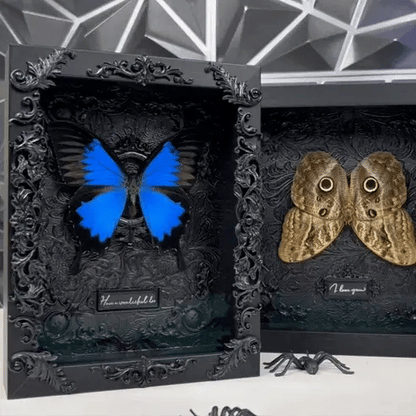 Goth Butterfly Frame
